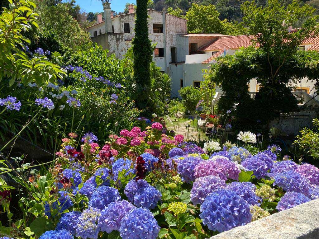 Beautiful Gardens at Albergaria do lageado