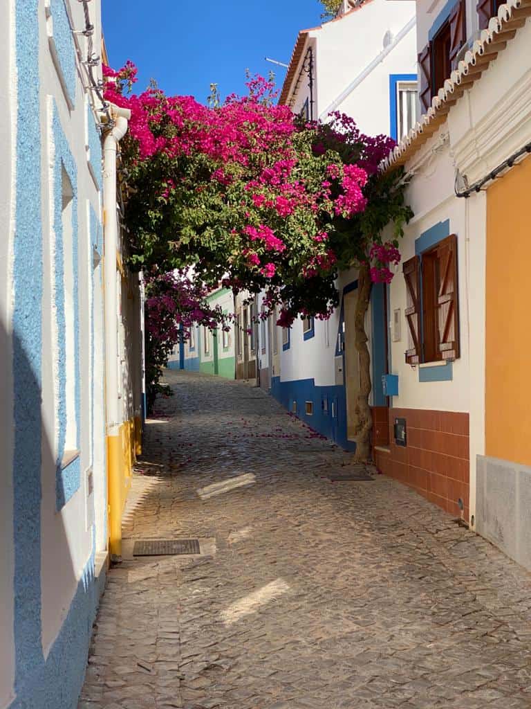 Bouganvillea Ferragudo!