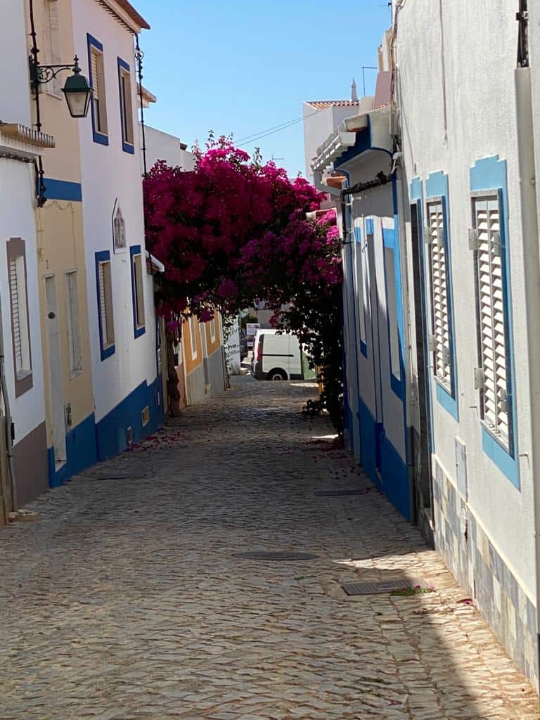 Bouganvillea in Ferragudo